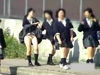 【H動画】 【アダルト動画】《 隠し撮りmovie 》とある学園の通学路は神風スポット!!ＪＫパンモロ隠し撮りし放題だった！！！！！